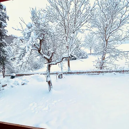 FeWo Chris, nähe Center Parcs Leutkirch im Allgäu Frauenzell